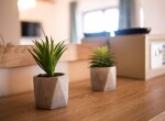 Sós vizű medence az eladó senji apartmanház udvarán) (2)